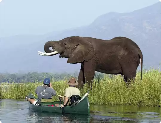 About AustraliaTenders